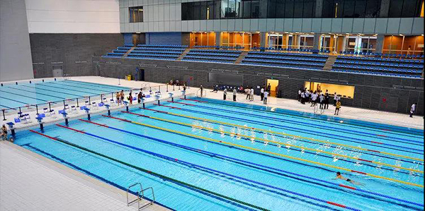 深圳湾体育中心游泳馆 深圳湾体育中心游泳馆